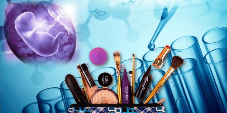 Aborted Foetal Cells In Cosmetics A Dark World Behind The Anti Ageing