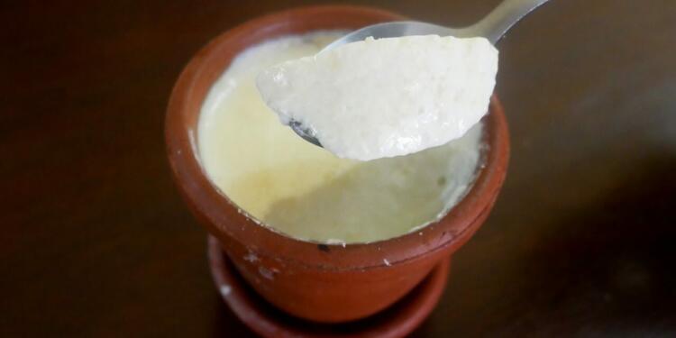 Discover The Science Backed Health Benefits Of Curd Eating