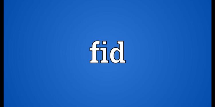 FID loans