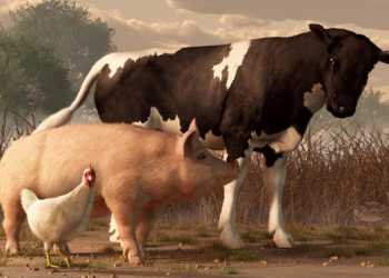 From Kashmir to Kerala, It is Beef that is rocking the nation