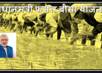 crop insurance