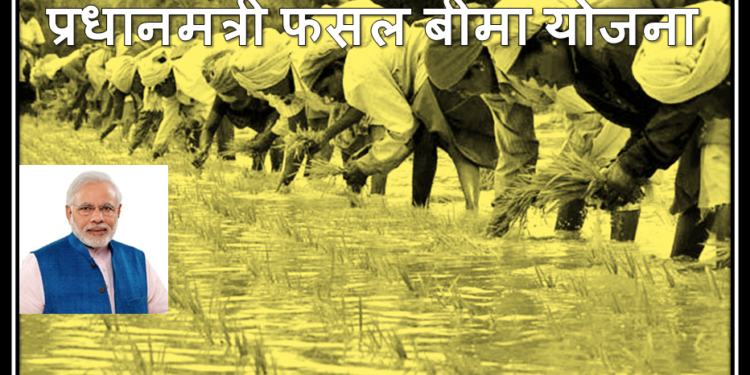 crop insurance