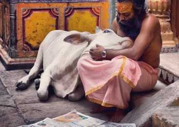 Majority Hindu Hindutva