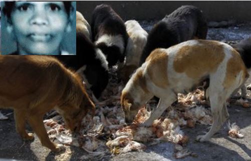 animal rights activists stray dogs kerala woman