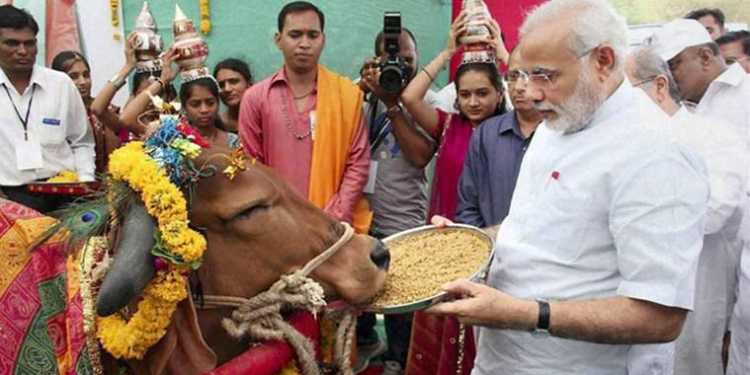 Modi gau rakshak