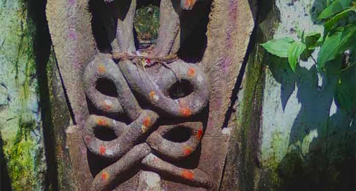 Hindu Snakes Naga Panchami