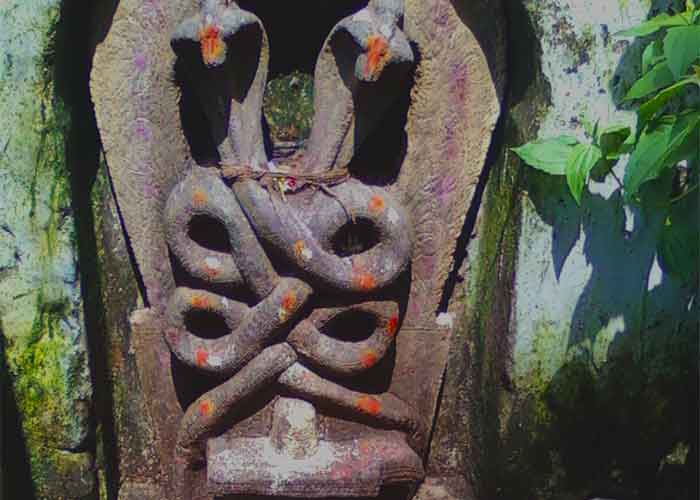 Hindu Snakes Naga Panchami