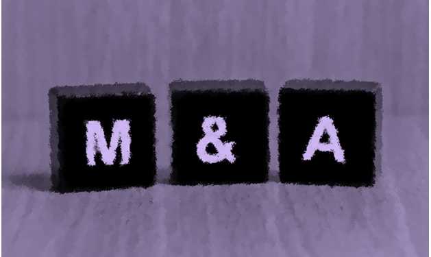 India M&A FDI