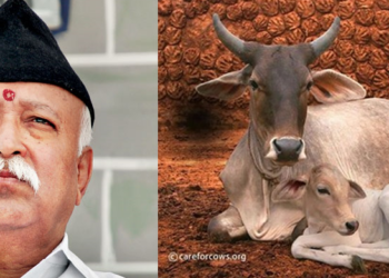 Gau Rakshaks