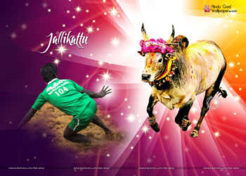 Jallikattu