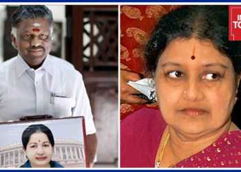 paneer selvam sasikala jallikattu