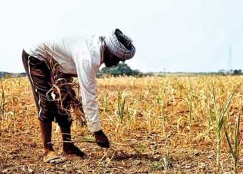 Farm Loan