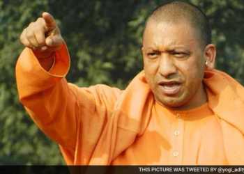 yogi, airports