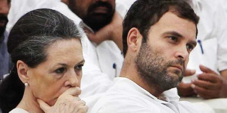 Cow Congress