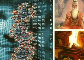 Gotra Genetic