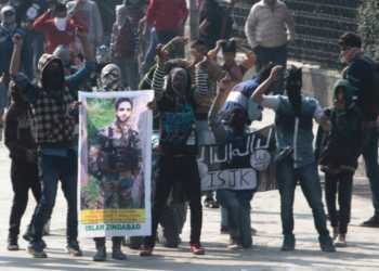 kashmir jihad taliban