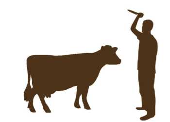 cow smugglers gau rakshaks