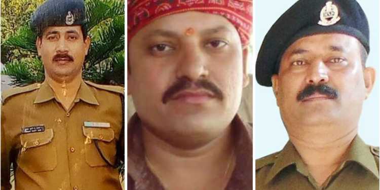 cow smugglers bsf