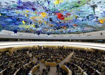 united nations human rights