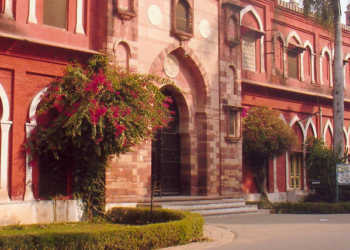 jinnah, portrait, amu