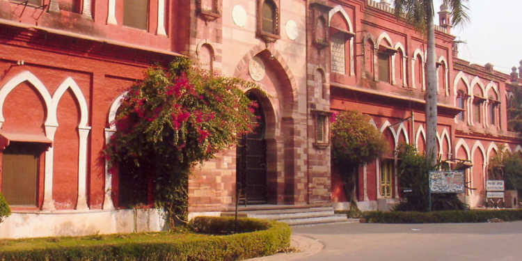 jinnah, portrait, amu