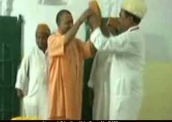cm yogi, skullcap
