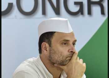 rahul gandhi, muslims, intellectuals