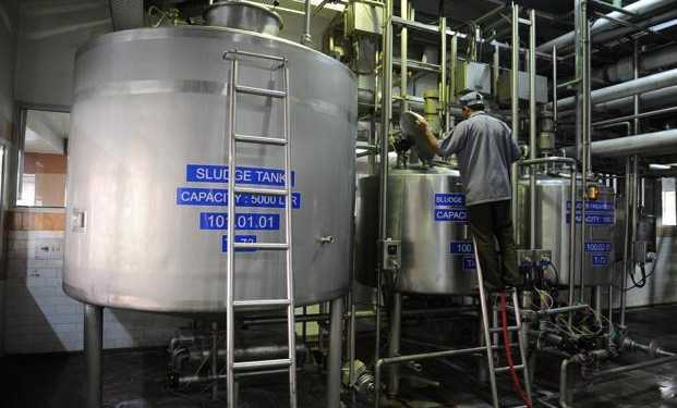 milk, india