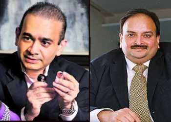 nirav modi, mehul choksi, ed