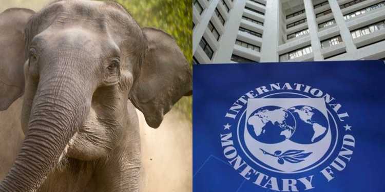 indian economy, imf