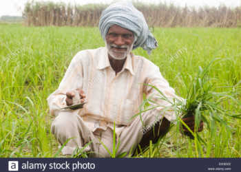 agriculture, exports, farmers