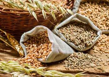 Record 141.6 million tonnes foodgrain production in this Kharif season