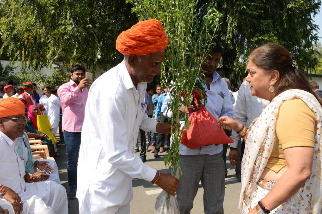 rajasthan, agriculture, modernized