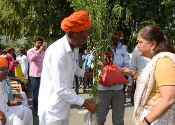 rajasthan, agriculture, modernized