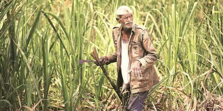The reality of Congress’ farm loan waiver promises