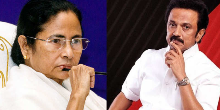 TMC, stalin