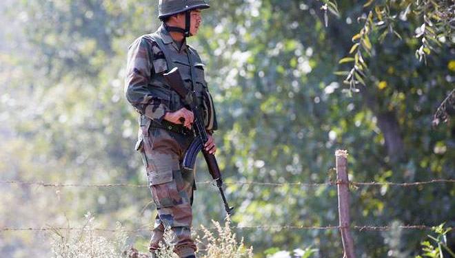 skill training, widows, martyred, armed personnel