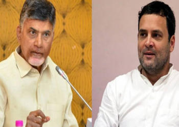 Congress, TDP, rahul, andhra pradesh, naidu