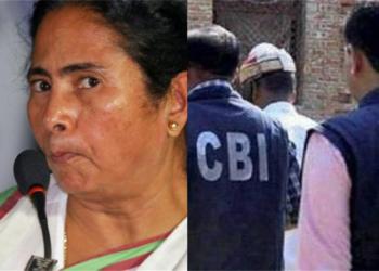 mamta banerjee, painting