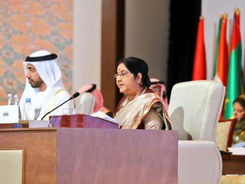 Terror, Sushma Swaraj, OIC