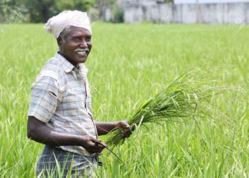 Modi Government, Farmers