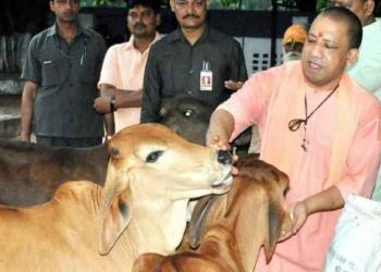 And like that CM Yogi delivers again, solves what everyone thought was an unsolvable problem