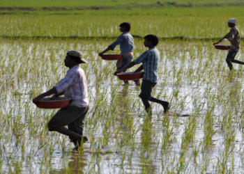 PM-KISAN, West Bengal, Delhi