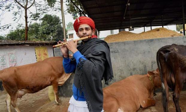 Tej Pratap Yadav, RJD, party