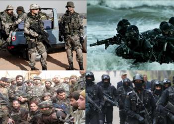 A K Dhingra, Special Operations Division
