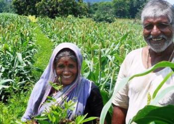 Over 2.25 crore farmers get Rs 2,000 since April 1 under PM KISAN scheme