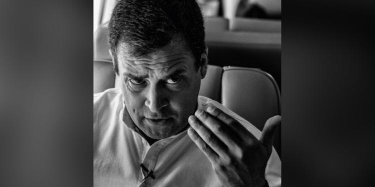 Rahul Gandhi, Amethi