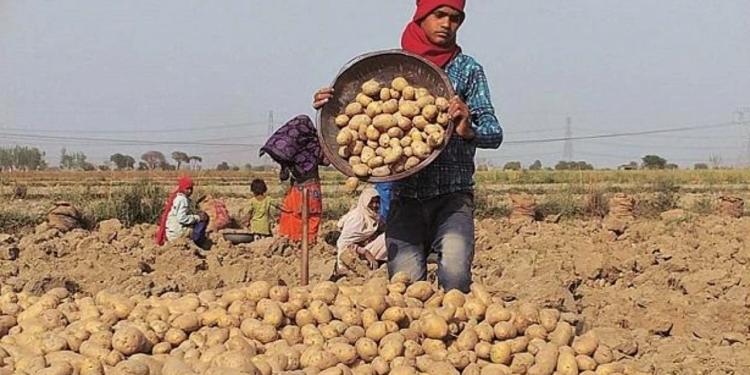 PepsiCo, Gujarat
