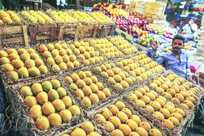 Mango, exports