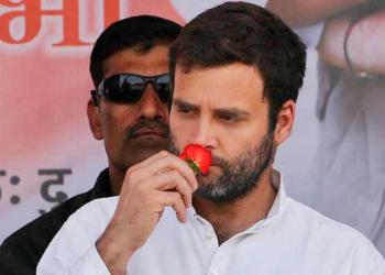 Congress, Rahul Gandhi, presidents